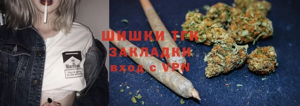 соль ск Пестово