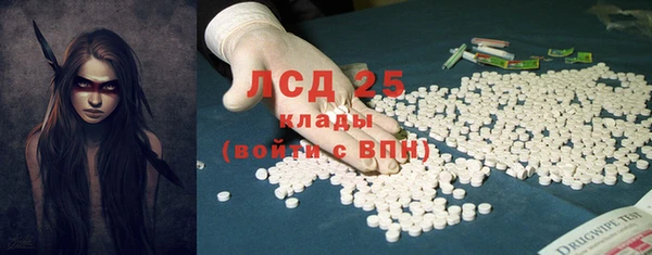 прущие грибы Алзамай